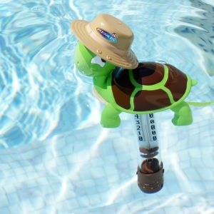 THERMOMETRE TORTUE